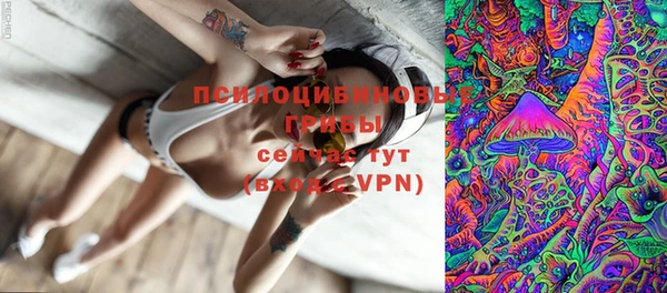 а пвп мука Касимов