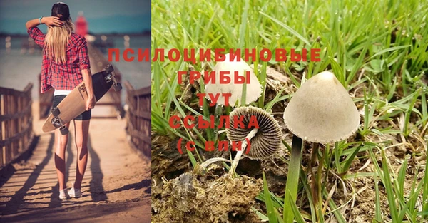 а пвп мука Касимов